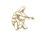 A terrapin playing a fiddle — the sigil of The Giant's Harp